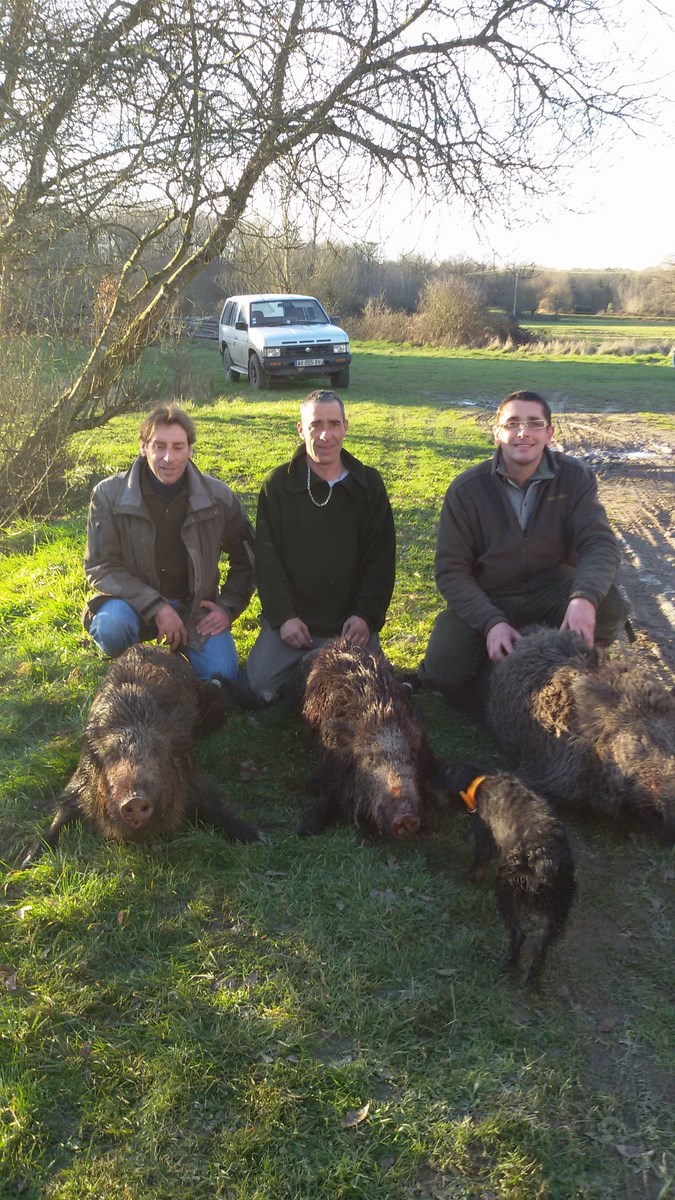 Chasse_Janvier_2016_2